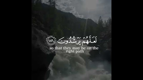 تلاوة مريحة إسلام صبحي💙سورة البقرة🎧حالات واتس دينية⚘ايات قرآن قصيرة💙مقاطع انستغرام