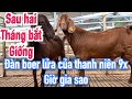 N thm n boer la  thanh sn pt sau hai thng bt ging thanh nin 9x qu tr  lm ng ch