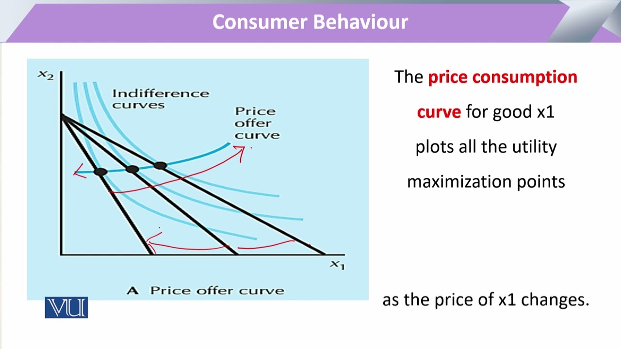 Consumer Choices The Price Offer Curve The Demand Curve Consumer Choices The Price Offer Curve The Demand Curve