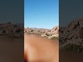 #shorts Joshua Tree California De viaje con la familia beepolar #subscribete
