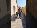I Set My Yard on Fire for the Ul#viral