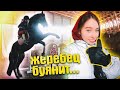 ПЕРВЫЙ РАЗ со ШПОРАМИ! Тренировка с привязанными стременами VLOG