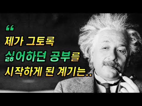 아인슈타인이 받았던 공부 자극 방법 [공부법, 몰입, 학습]