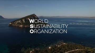 World Sustainability Organization - Official Video