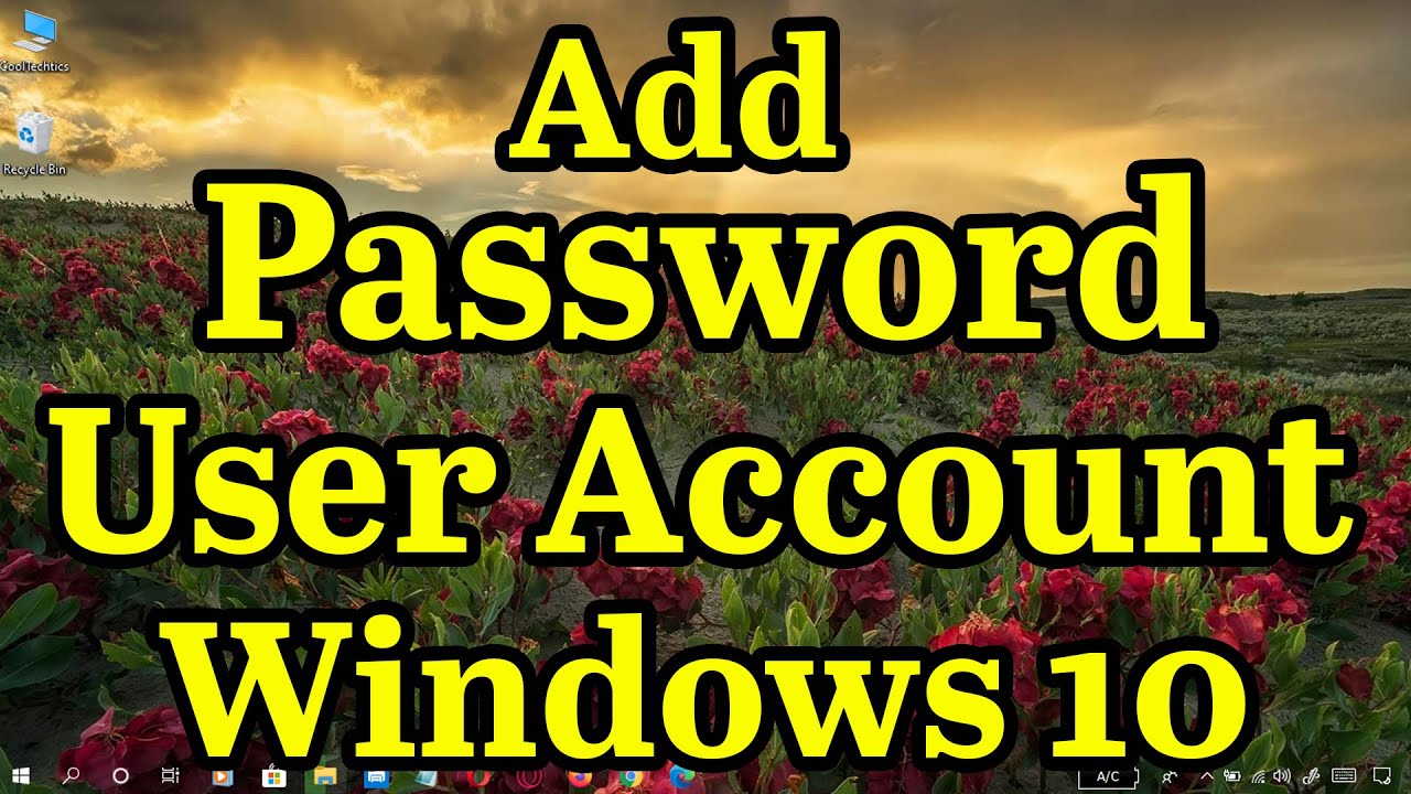 free mpeg 2 decoder windows free mpeg 2 decoder windows