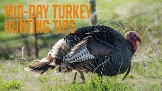Mid Day Turkey Hunting Tips
