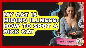My Cat Is Hiding Illness: How To Spot A Sick Cat - Happy Cat Handbook
