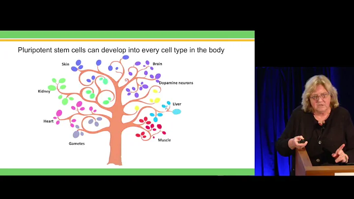 Future of Individualized Medicine 2019 - Jeanne Lo...