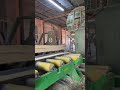 Sawmill factory visit in hungary sawmill woodworking woodmill