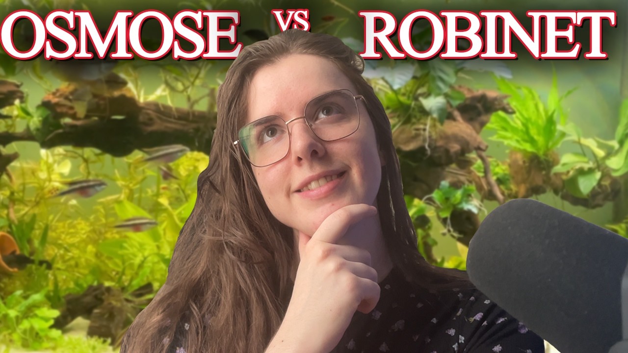 Eau du robinet vs eau osmosée/pluie : Laquelle choisir ? 🐟