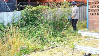 Jungle Nightmare TRANSFORMATION | Tenant didn't recognise his OWN PLACE!