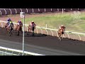 View race 6 video for 2020-11-03