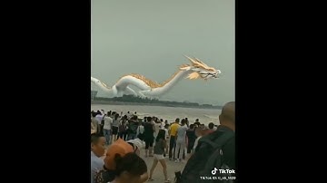 Real life Chinese Dragon found (tiktok). #shorts