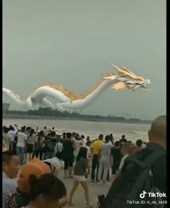 Real life Chinese Dragon found (tiktok). #shorts