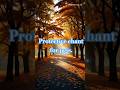 Protective chant for pets. #magia #ritual #magic #spell