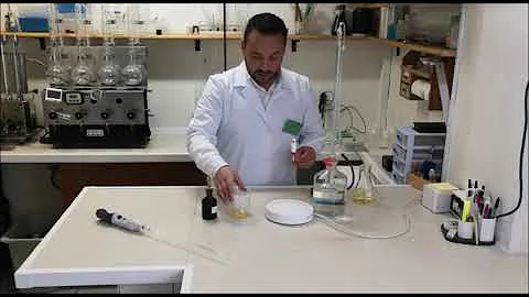 Cosa si intende per acidità reale di un vino?