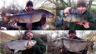 Small River Fishing - Big Barbel - Brassy Chub & Perch! (Video 160)