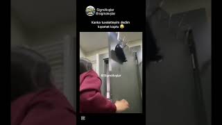 Kanka Tuvaletteyim Dedim Kıyamet Koptu