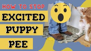 Puppy Pees When Excited - How To Stop It