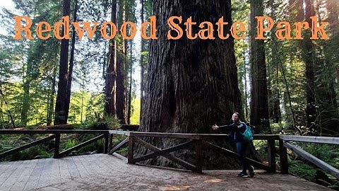 The TALLEST TREES I've ever seen! Redwood State Park-May 2022 Roadtrip to California Pt 7