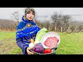 Cabbage rice recipe with ground beef  village lifestyle of iran