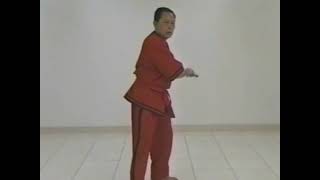 Doce Pares Disc 4 Diony Canete Sayaw 11 And 12 Eskrima, Arnis, Kali, Filipino Martial Arts