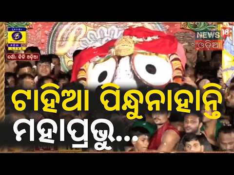 Niladri Bije: ଟାହିଆ ପିନ୍ଧୁନାହାନ୍ତି ମହାପ୍ରଭୁ... Puri Ratha Yatra 2026 | Jagannath Pahandi