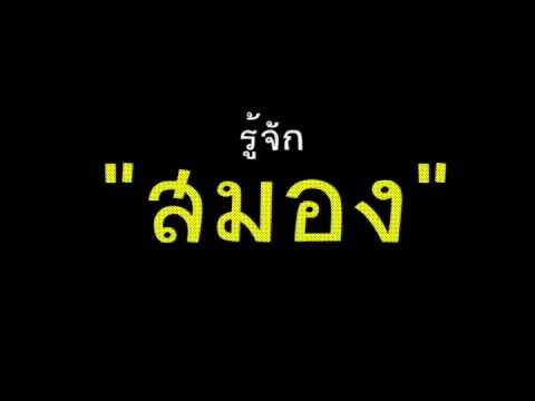 [teaser] สมองสีเทา - What is it