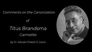 Comments on the Canonization of Titus Brandsma