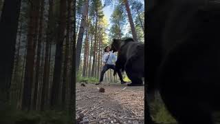 Surviving a grizzly attack