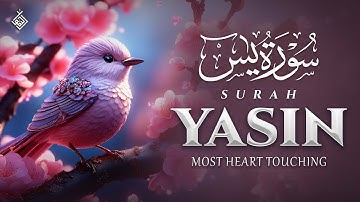 Surah Yasin (Yaseen) سورة يس | A Calm Spirit Awakened Through This Voice | Al-Taqwa TV