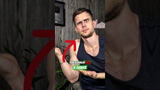 ❗️РАЗОБЛАЧЕНИЕ ARCHOMORIS & ZHIVOVFITNES