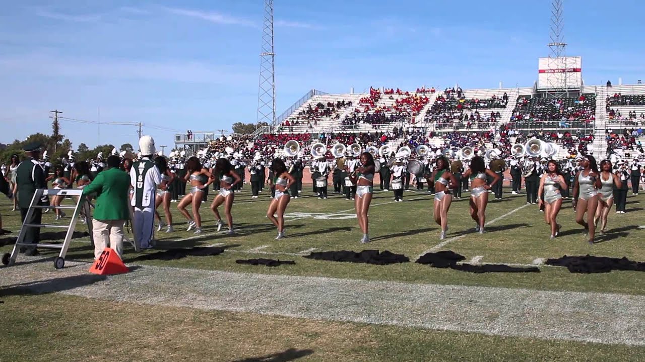MVSU Satin Dolls At Homecoming Halftime Show 2015 - YouTube