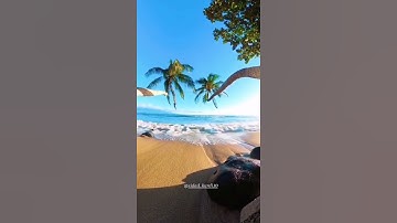 آرح قلبك 💜 تلاوة الخاشعة شیخ رعد محمد الكردي اجمل حالات واتس اب راحة نفسیة