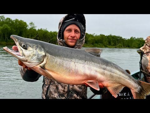 A REAL MAN'S VACATION! RED FISH AND CAVIAR! TROPHIES ON EVERY CAST! BEARS AND FISH SOUP! KAMCHATK...