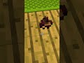 MIO FIGLIO FA LA CACCA SU MINECRAFT #shorts