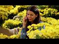 A Thousand Yellow Daisies | Gilmore Girls