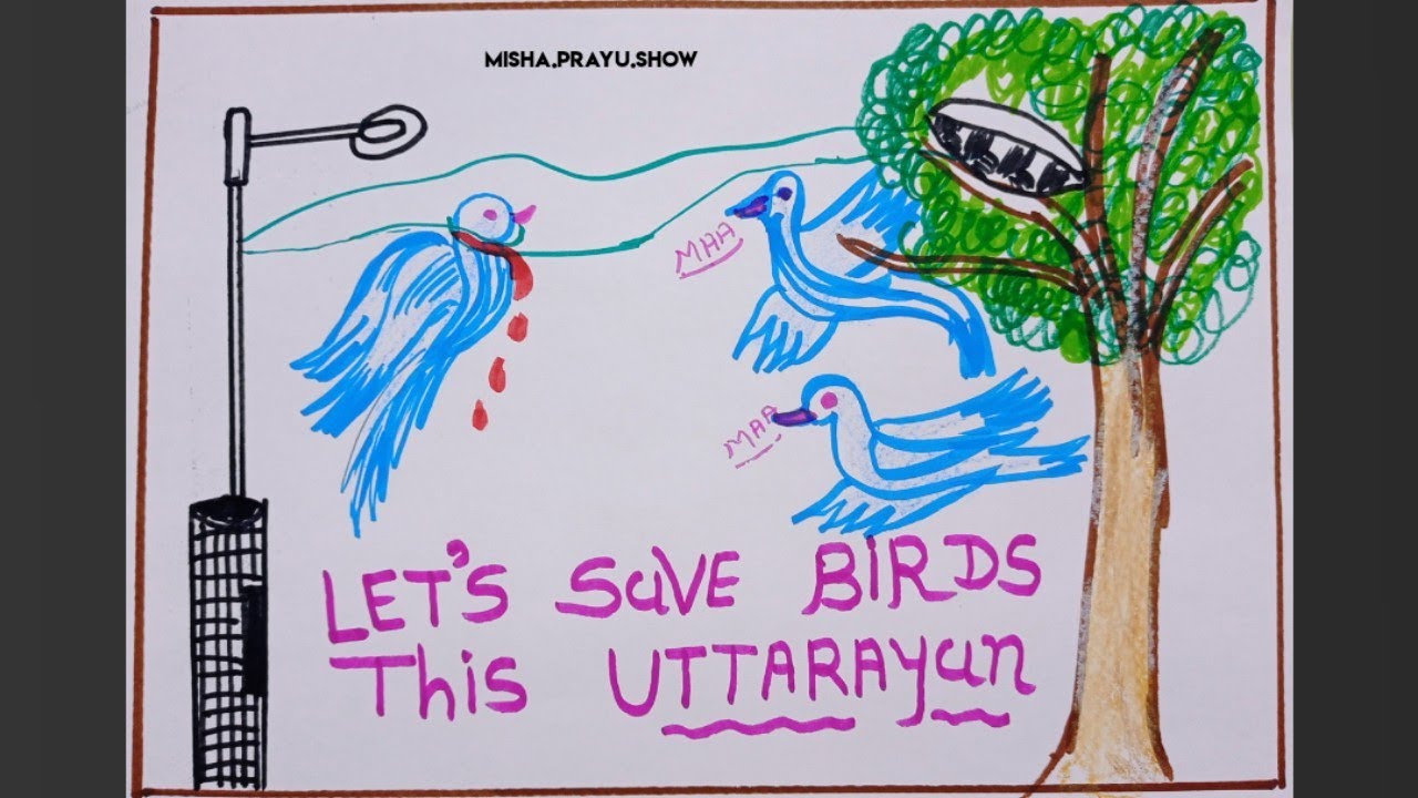 save birds during Uttarayan Poster Drawing | Happy Uttarayan 2022 | save birds slogan drawing