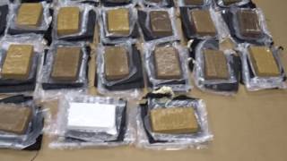 New Zealand record cocaine seizure in diamante-encrusted horse's head