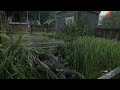 The Last of Us™ Parte II_20250731185629