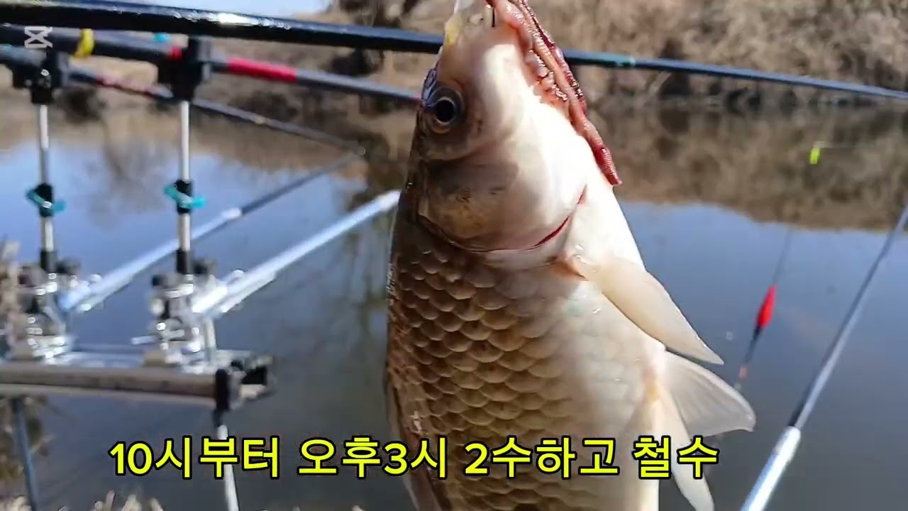 2026.02.17.붕어낚시