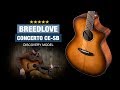 Breedlove Discovery Concerto CE-SB - Popular Under $500 Guitar