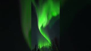 Winter is the best in Fairbanks, Alaska!