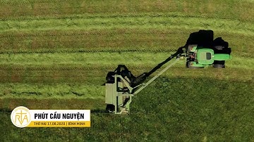 Phút Cầu Nguyện, Thứ Hai 17/08/2020: Trở Thành Muối Và Ánh Sáng Như Thế Nào