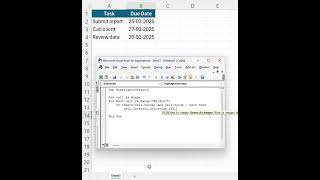 Highlight Overdue Tasks in Excel with 6 Lines of VBA! 🔴📅 #shortsvideo