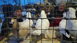 7.02.2026Г Ярмарка Ст.бронницы