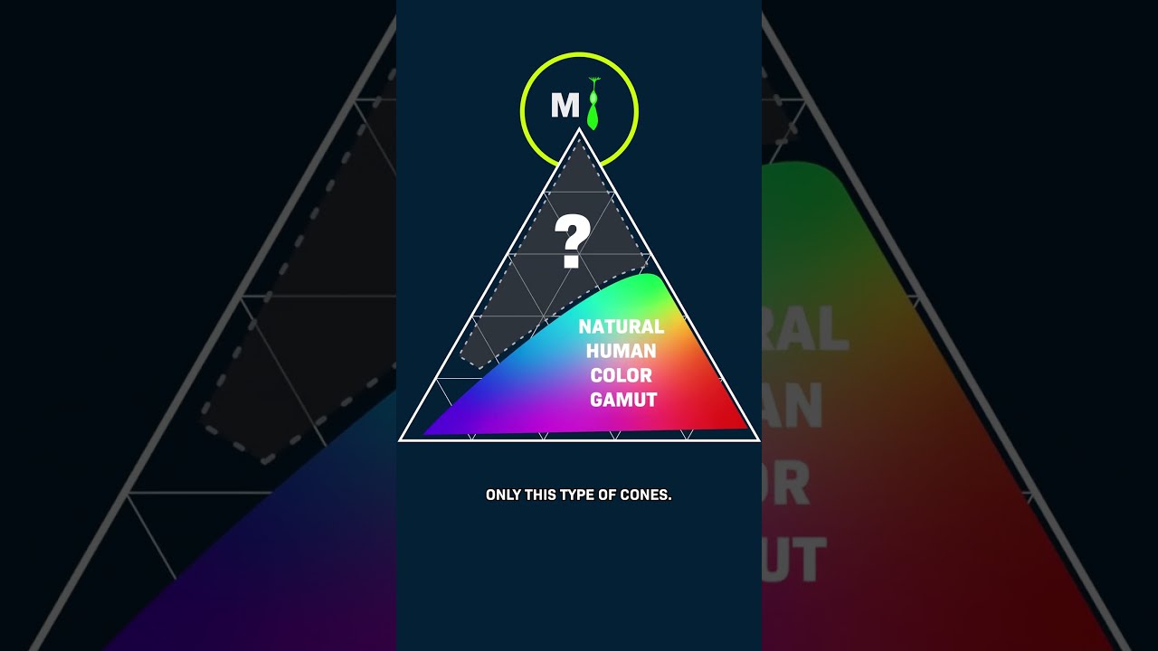 5 People Just Saw A New Color How 