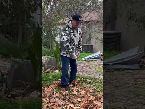 Trying to talk to my gardener but I dont speak Spanish shorts gardener backyard by DWCC-usa