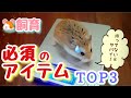 【持ってないとヤバイ】ハムスターの飼育に必須のアイテムTOP3