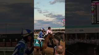 Will Harley pony the 152nd Derby winner? 👀 #kentuckyderby #harley #pony #winner #horsegirl